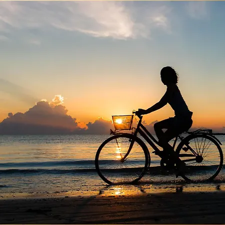 Glueck Unter Reet Garz (Usedom)